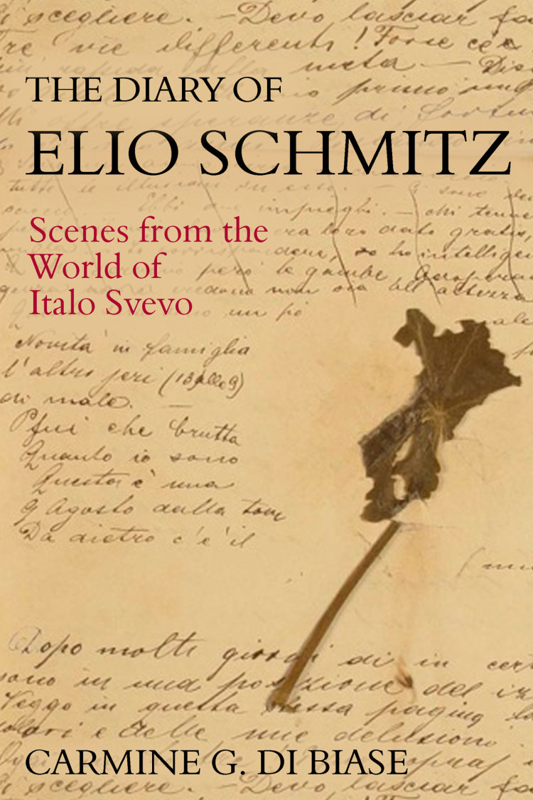 The Diary of Elio Schmitz